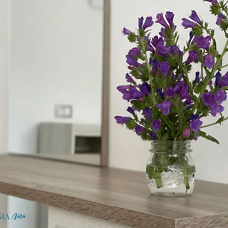 公寓式酒店 Magic Kefalonia 4*